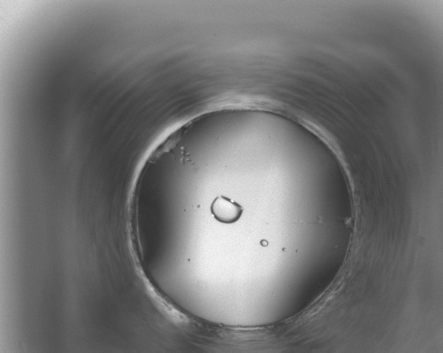 X0000067491152200604150035