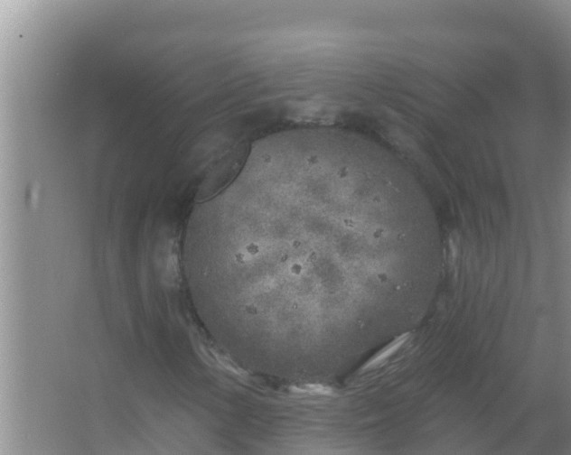 X0000067491154200604150034