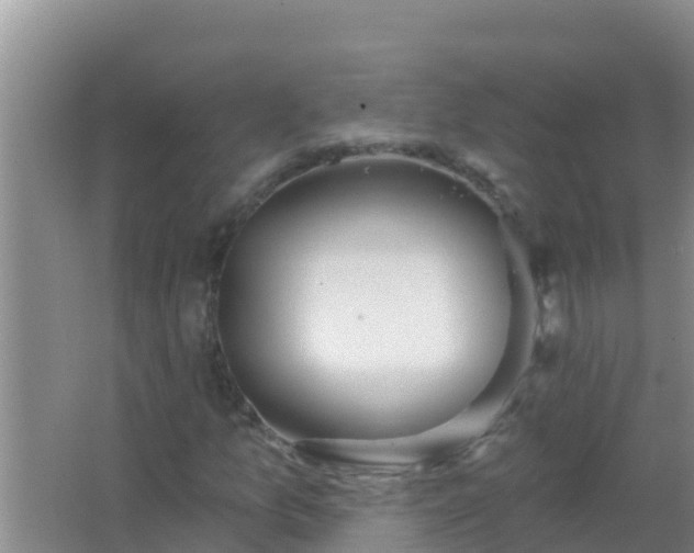 X0000067491157200604150034