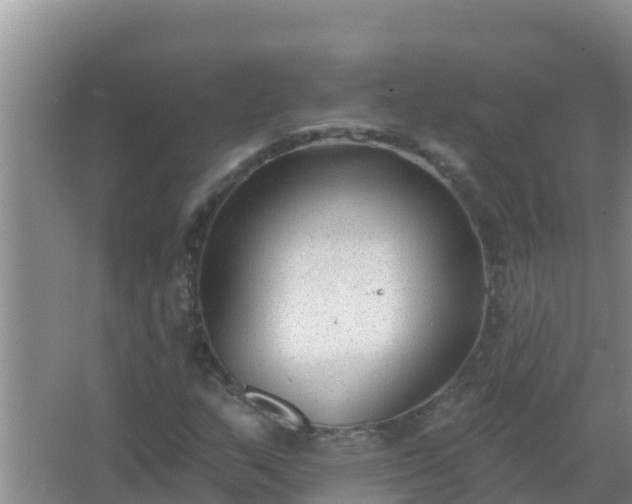 X0000067491159200604150034