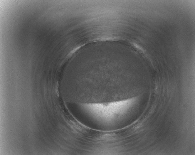 X0000067491161200604150034