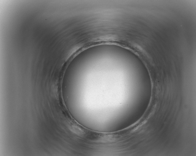 X0000067491162200604150034