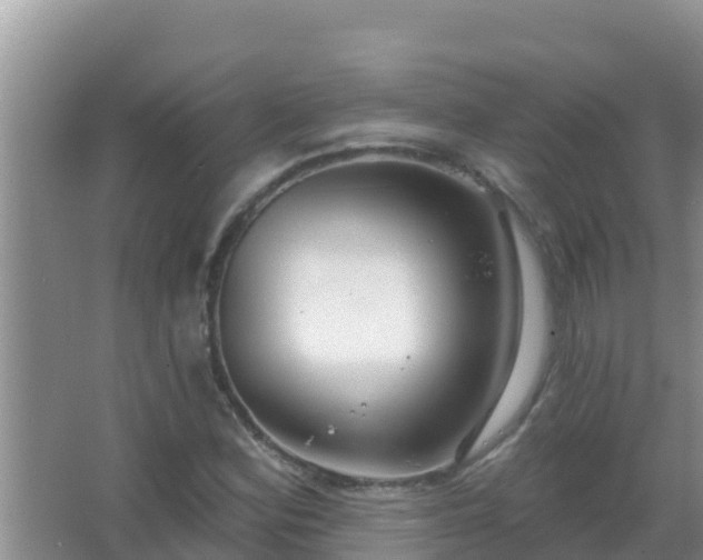 X0000067491164200604150034