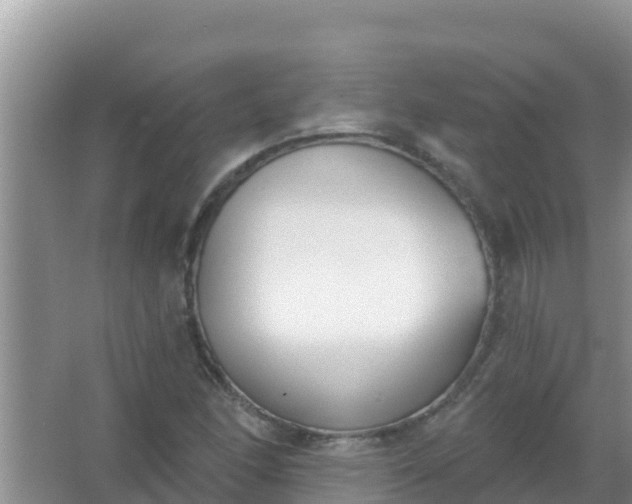 X0000067491166200604150034