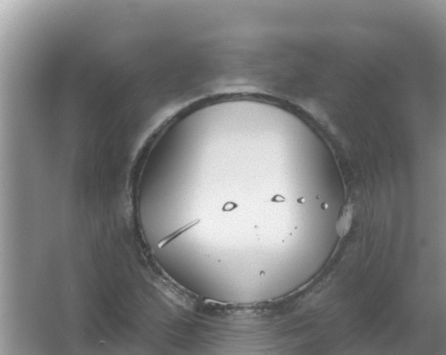 X0000067491167200604150034