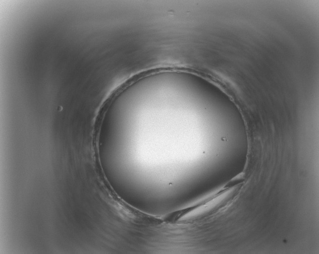 X0000067491168200604150034