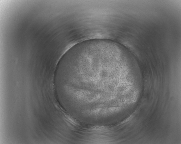 X0000067491170200604150034