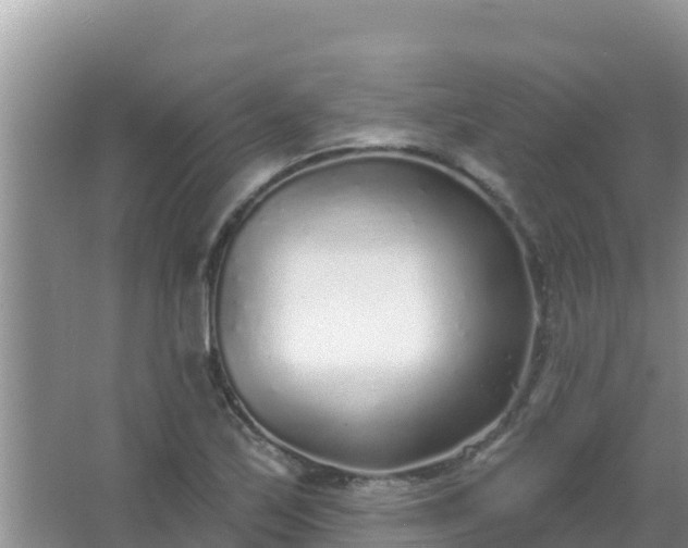 X0000067491171200604150034