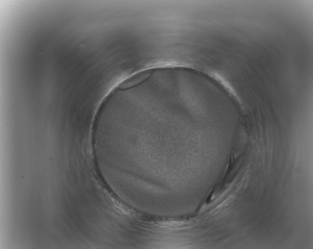 X0000067491173200604150034