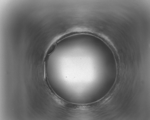 X0000067491175200604150034