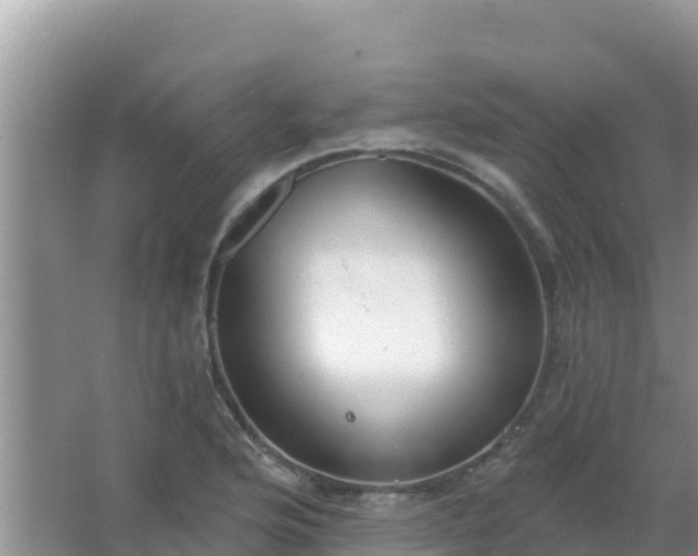 X0000067491176200604150034