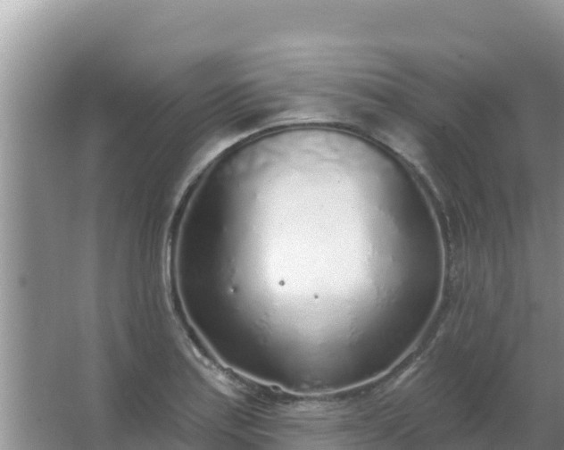 X0000067491179200604150034