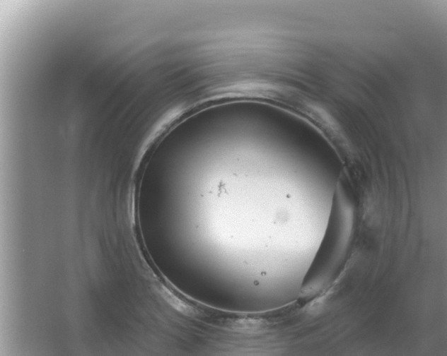 X0000067491180200604150034