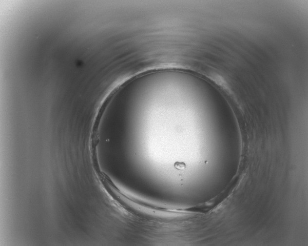 X0000067491181200604150034