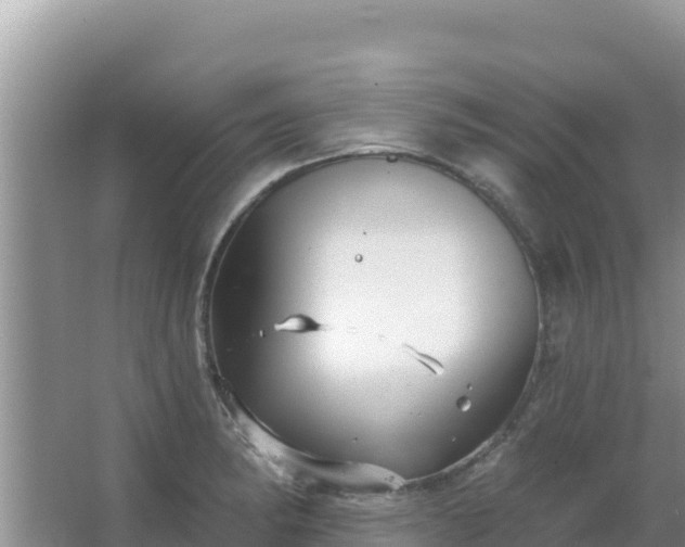 X0000067491182200604150034