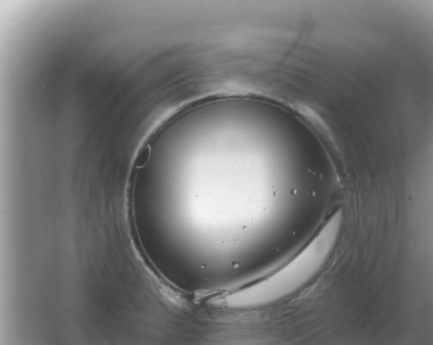 X0000067491183200604150034