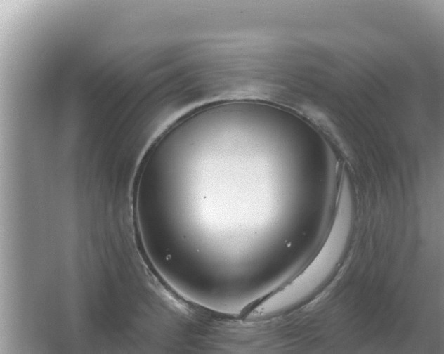 X0000067491184200604150034