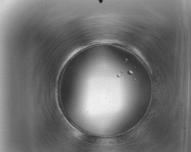 X0000067491187200604150034