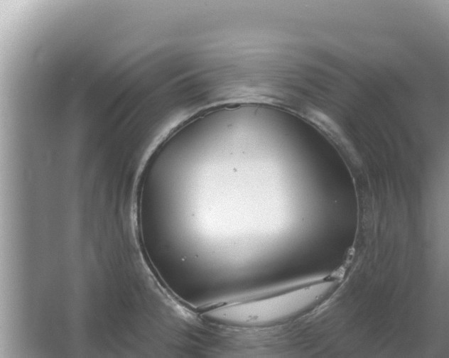 X0000067491188200604150034