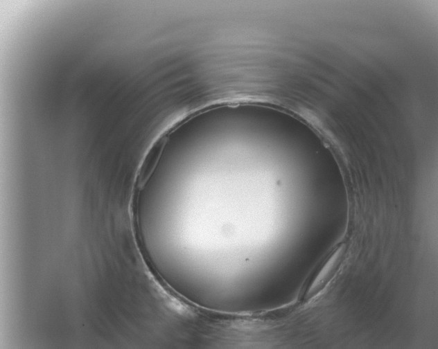 X0000067491189200604150034