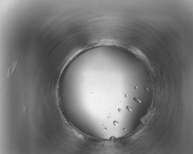 X0000067491190200604150034