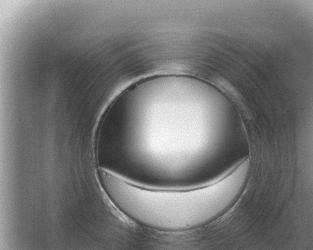 X0000067491192200604150034