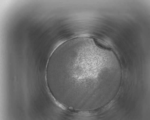 X0000067491194200604150034