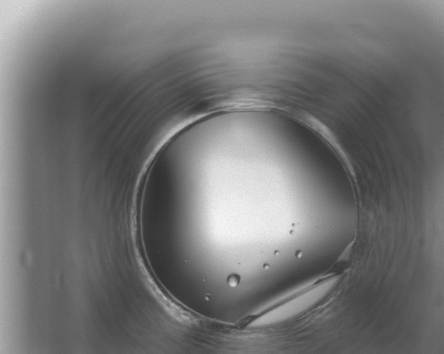 X0000067491195200604150034