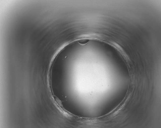 X0000067491196200604150034