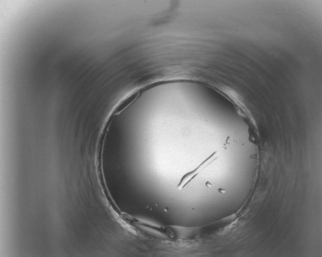 X0000067491197200604150034