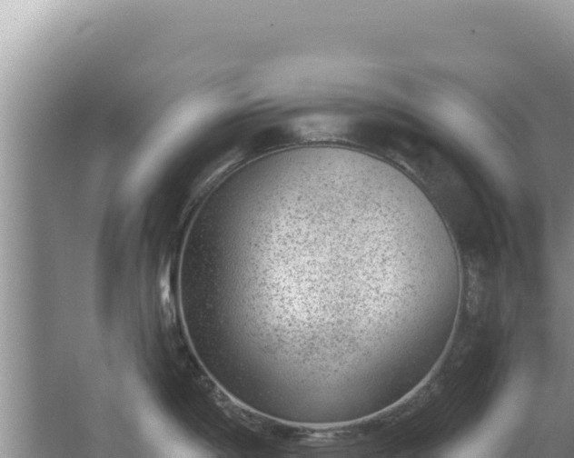 X0000067491198200604150034