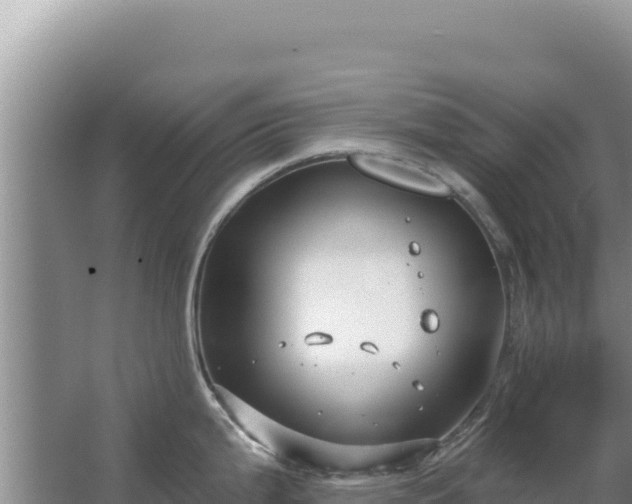 X0000067491199200604150034