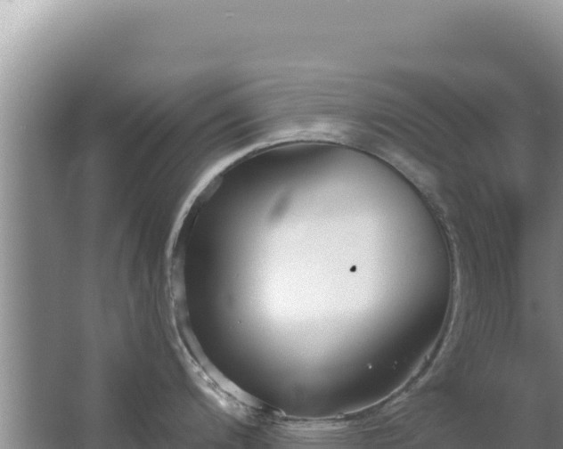 X0000067491200200604150034