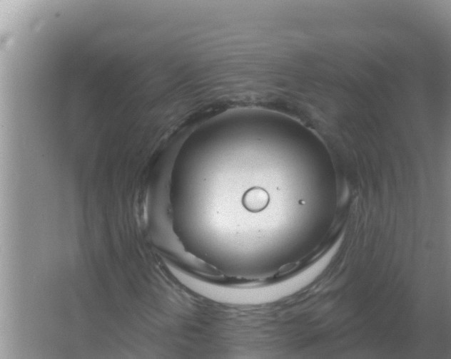 X0000067491202200604150033