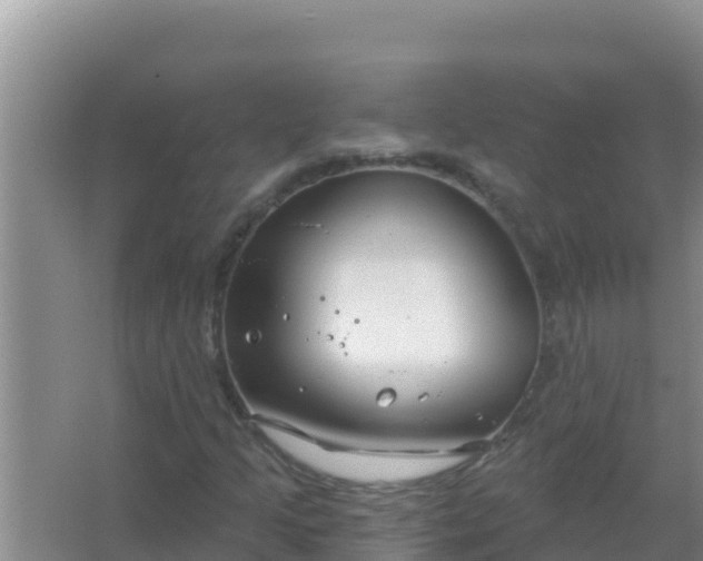 X0000067491205200604150033