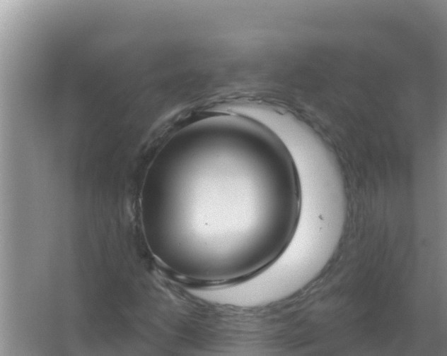 X0000067491206200604150033