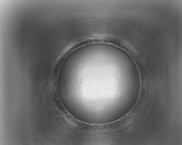 X0000067491208200604150033