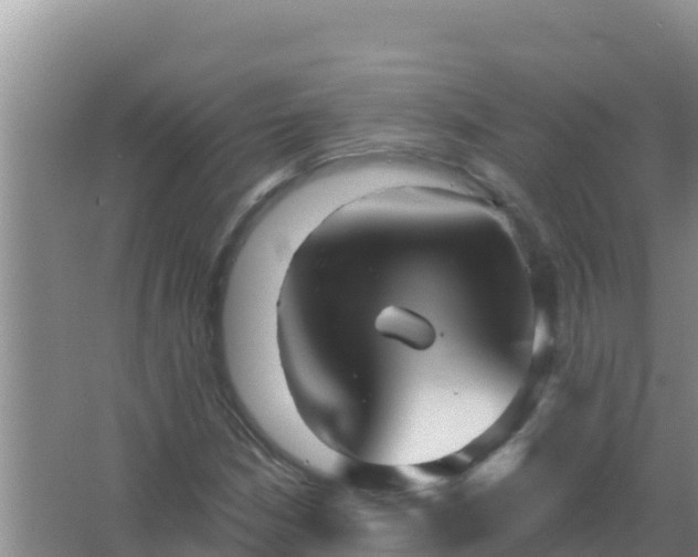 X0000067491210200604150033