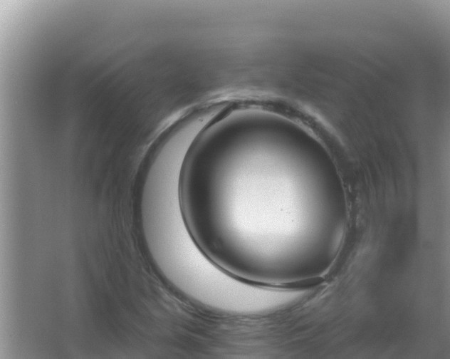 X0000067491213200604150033