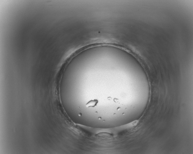 X0000067491215200604150033