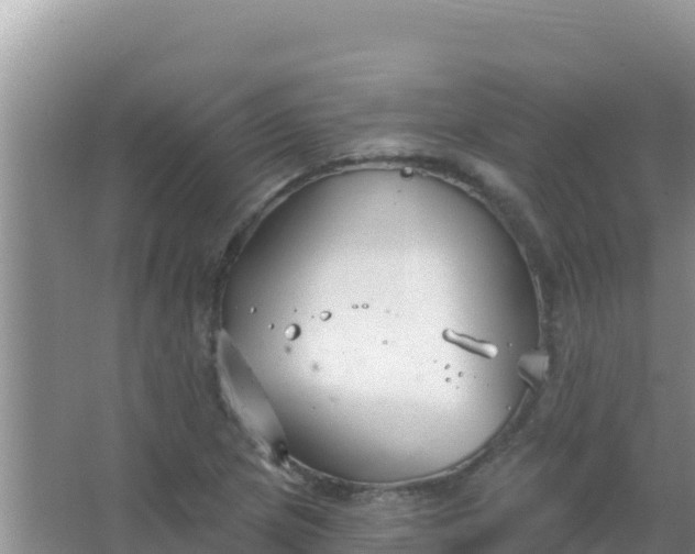 X0000067491217200604150033