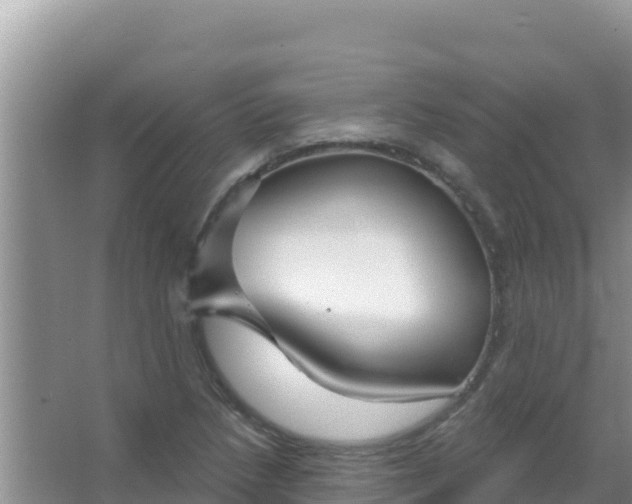 X0000067491218200604150033