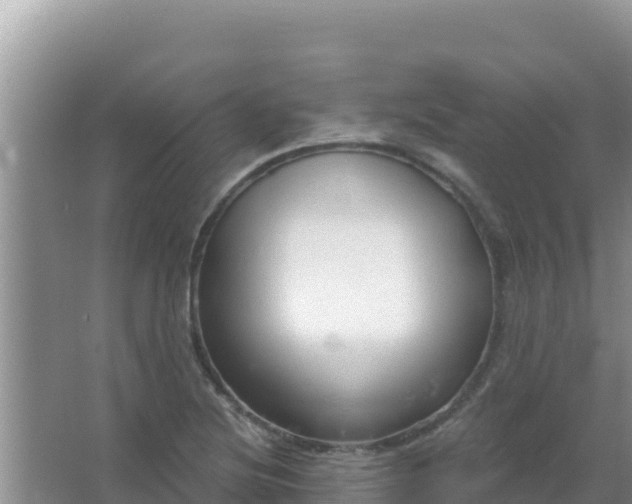 X0000067491220200604150033