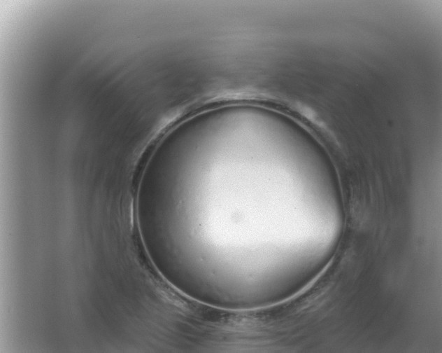 X0000067491221200604150033