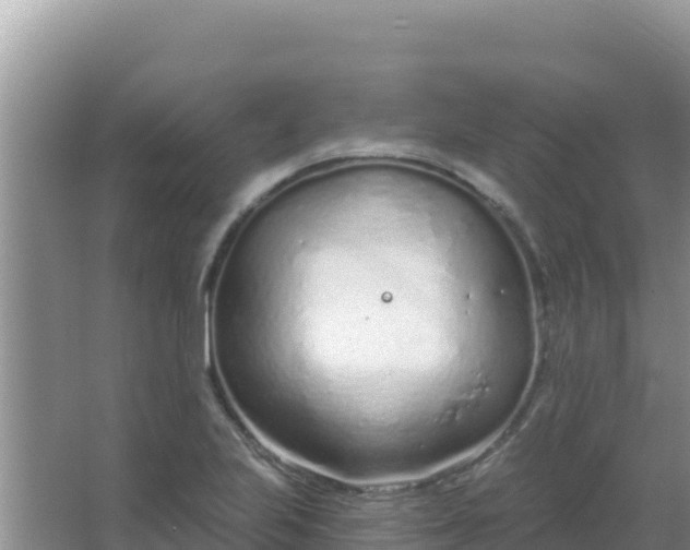 X0000067491223200604150033