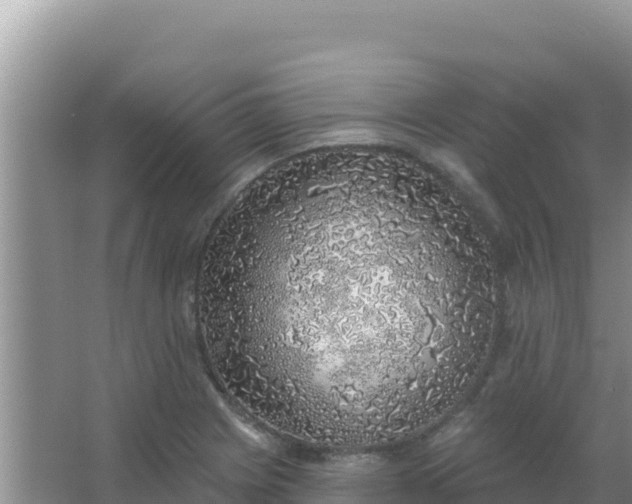 X0000067491225200604150033