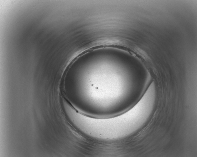 X0000067491226200604150033