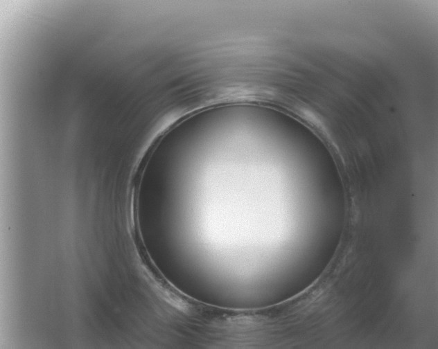 X0000067491227200604150033