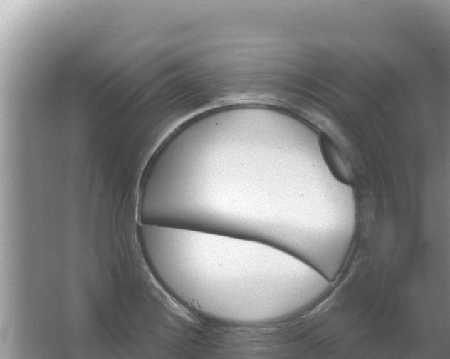 X0000067491228200604150033