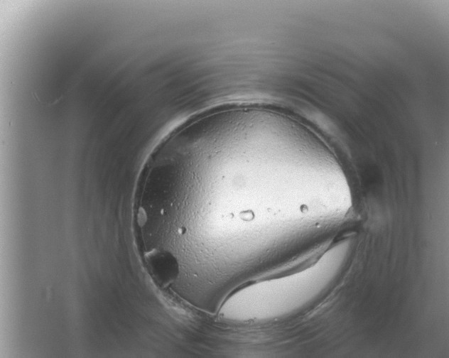 X0000067491229200604150033